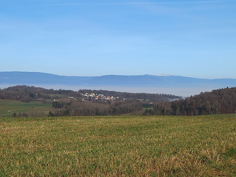 Seiry (FR), le 01 janvier 2022