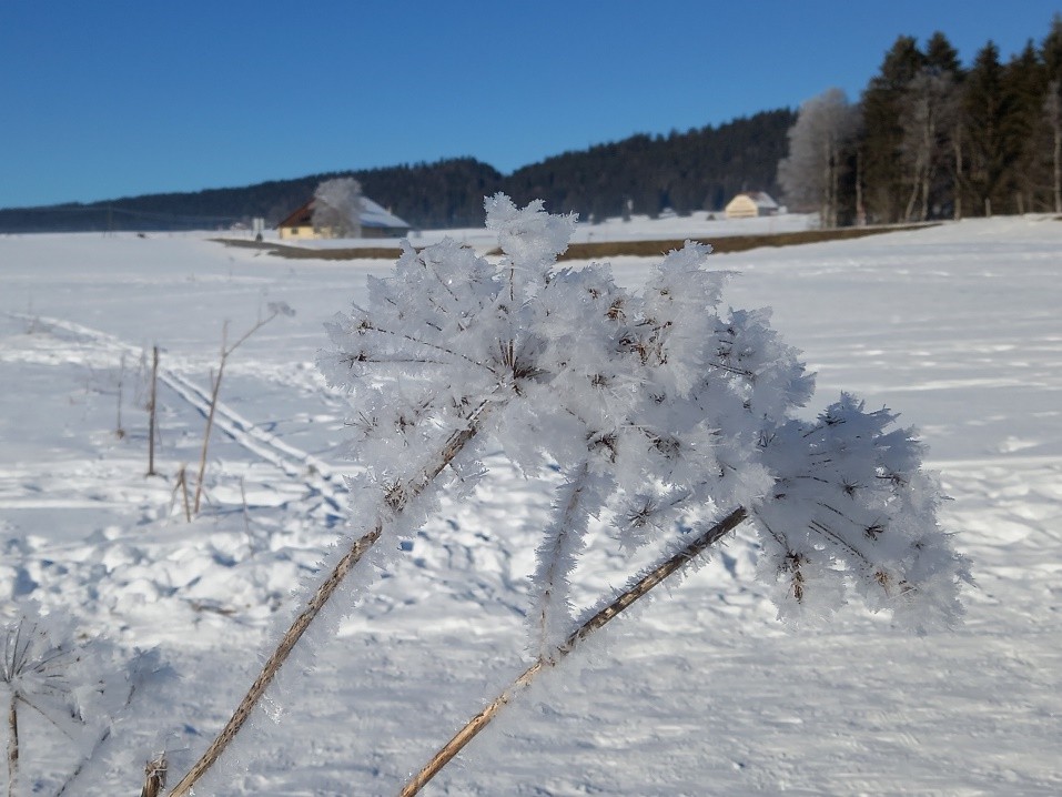 Lac des Taillères, la Brévine (NE), le 23 janvier 2022