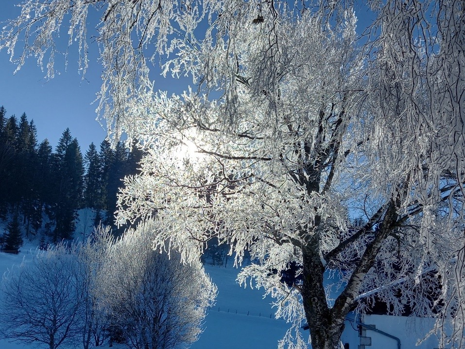 Lac des Taillères, la Brévine (NE), le 23 janvier 2022