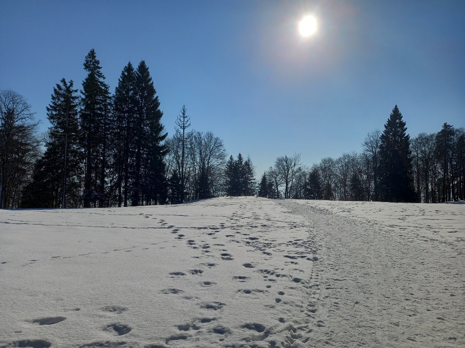 Col de la Tourne (NE), le 13 février 2022