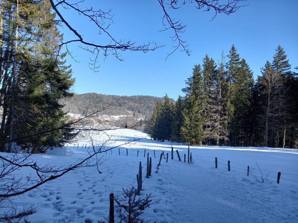 Col de la Tourne (NE), le 13 février 2022
