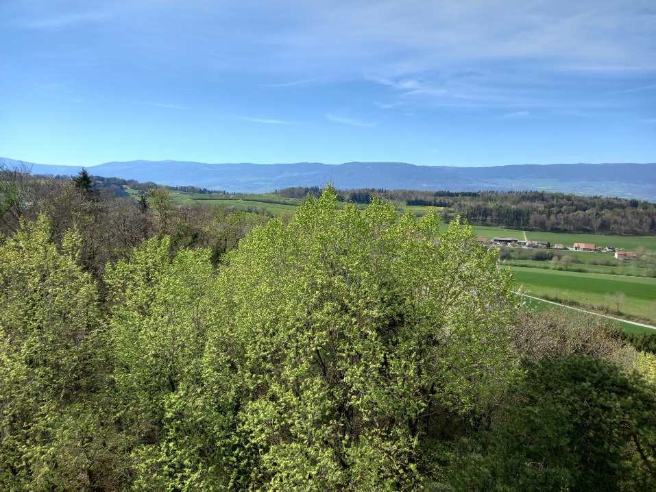 Seiry (FR), le 17 avril 2022