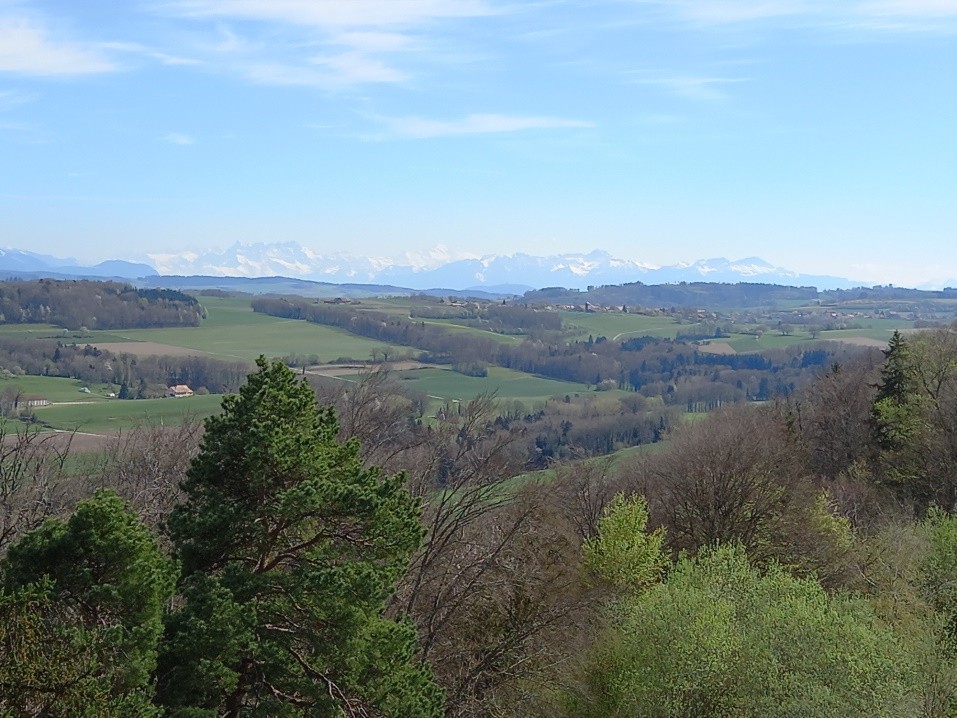Seiry (FR), le 17 avril 2022