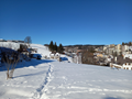 Le Locle, le 16 janvier 2022