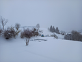Le Locle, le 01 avril 2022